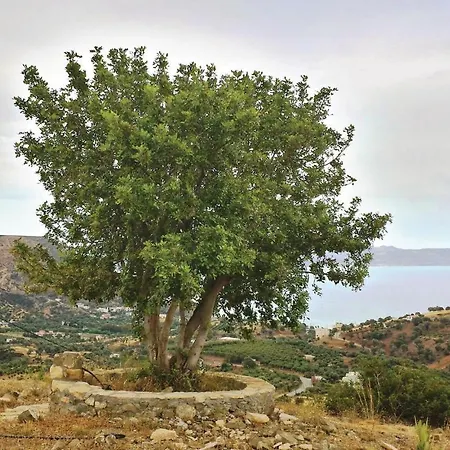 5 Bedroom Cozy In Plativola Ag,g,rethym Σπίτι διακοπών *